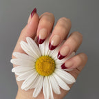 Red French Short Almond nails with Application kit
