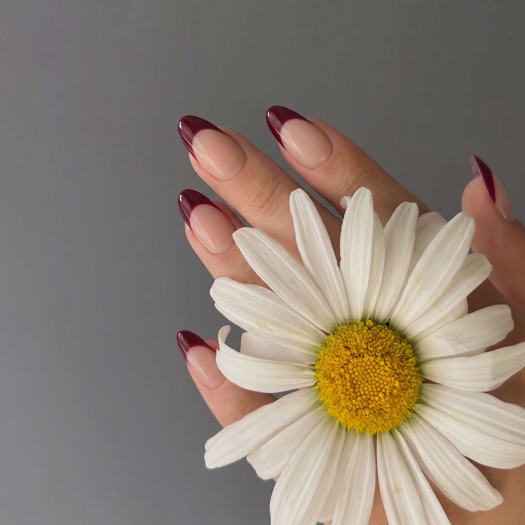 Red French Short Almond nails with Application kit