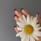 Red French Short Almond nails with Application kit